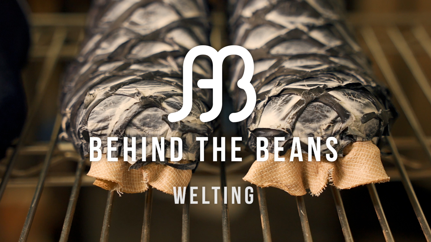 Thunbnail image for the Behind the Beans - Welting video